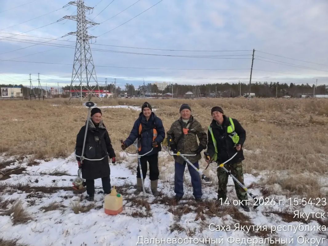 Скос камыша на берегу Чочур Мыран Скос камыша на берегу Чочур Мыран