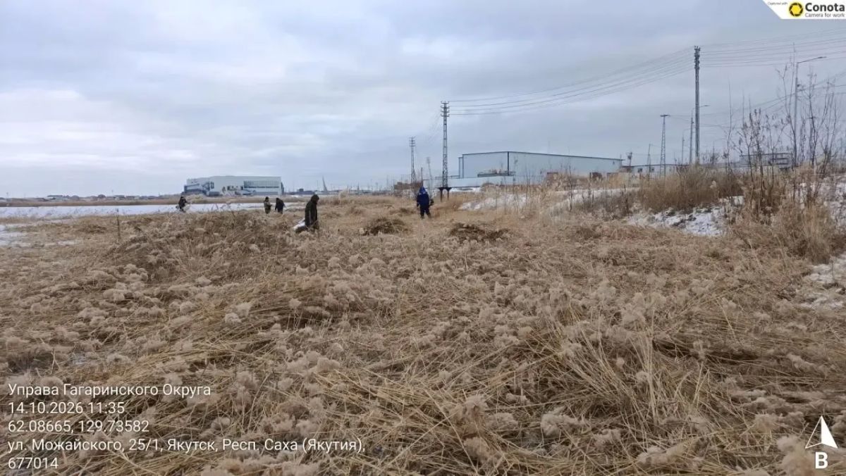 Продолжаем борьбу с камышами на Белом озере Продолжаем борьбу с камышами на Белом озере