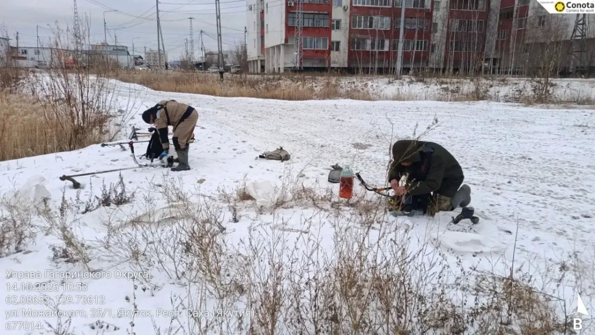 Продолжаем борьбу с камышами на Белом озере Продолжаем борьбу с камышами на Белом озере