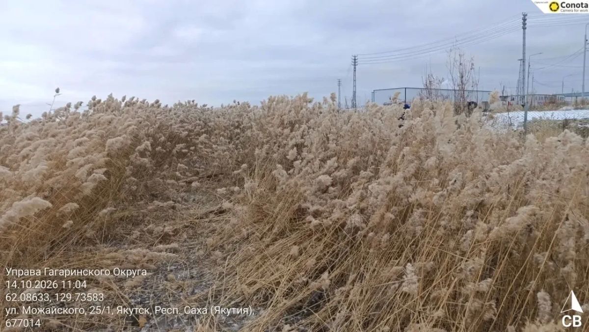 Продолжаем борьбу с камышами на Белом озере Продолжаем борьбу с камышами на Белом озере
