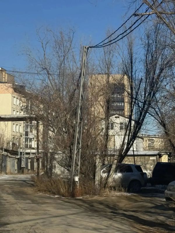 Управа спилила сухостои, представлявшие опасность для жителей и детей