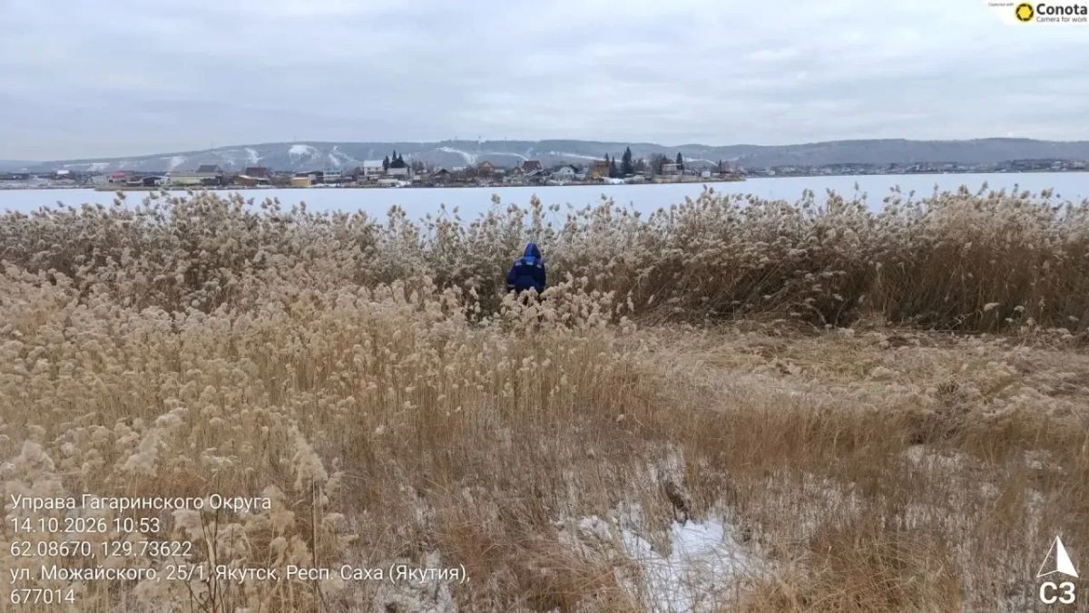 Продолжаем борьбу с камышами на Белом озере Продолжаем борьбу с камышами на Белом озере