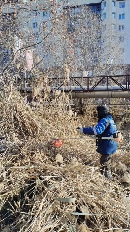 Уборка территории: как мы приводим город в порядок Уборка территории: как мы приводим город в порядок