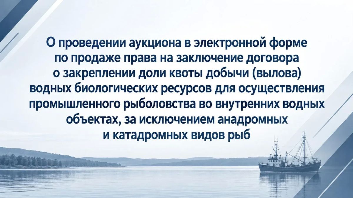 Министерством экологии, природопользования и лесного хозяйства Республики Саха (Якутия) объявлен аукцион в электронной форме по продаже права на заключение договора о закреплении доли квоты для осуществления промышленного...