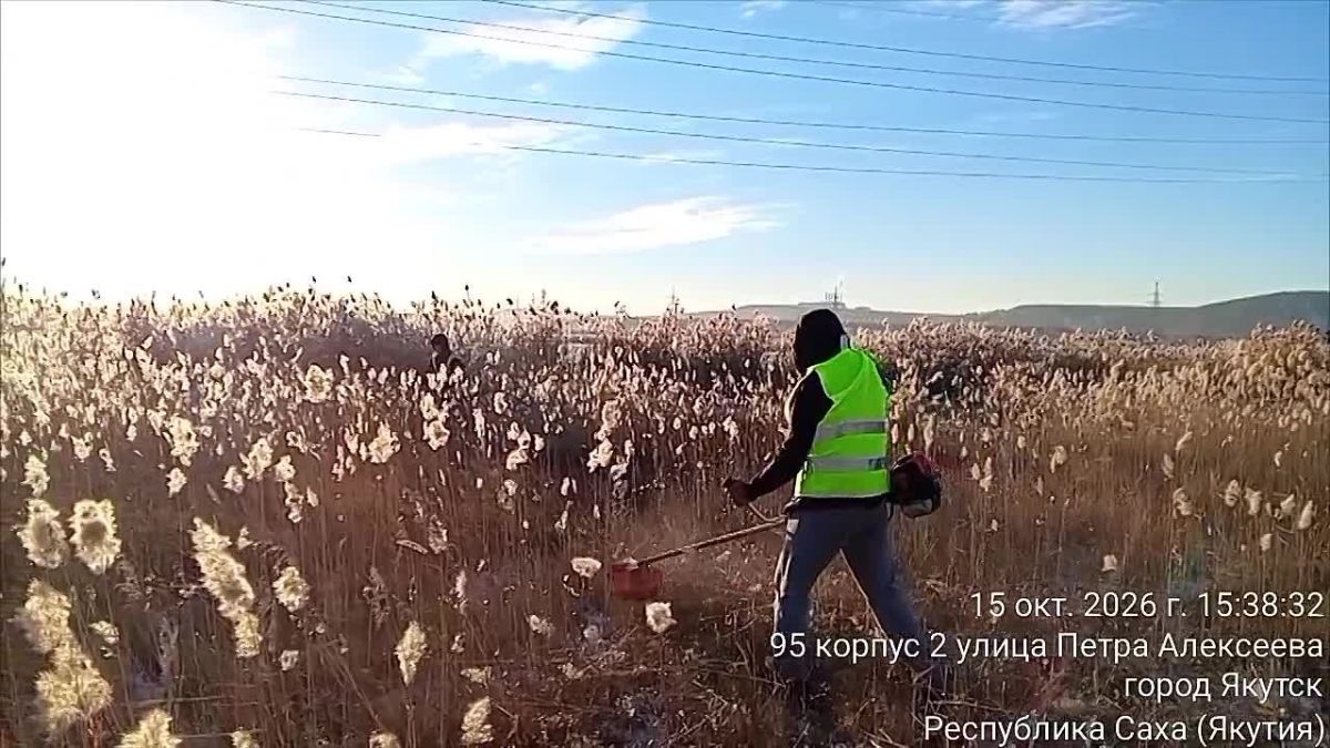 По поручению Главы города приступили к покосу камыша на озере ЯНИИТ