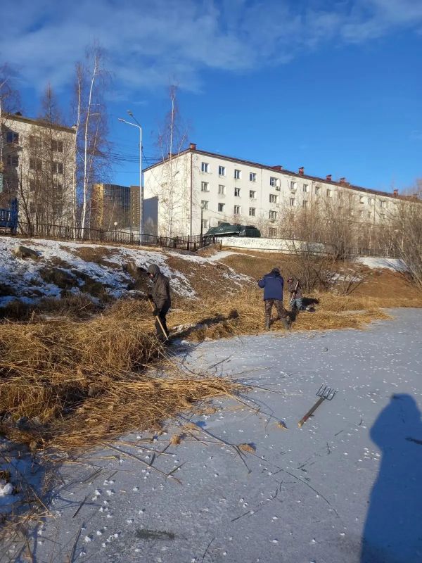 В Губинском округе продолжается сбор скошенного камыша! В Губинском округе продолжается сбор скошенного камыша!