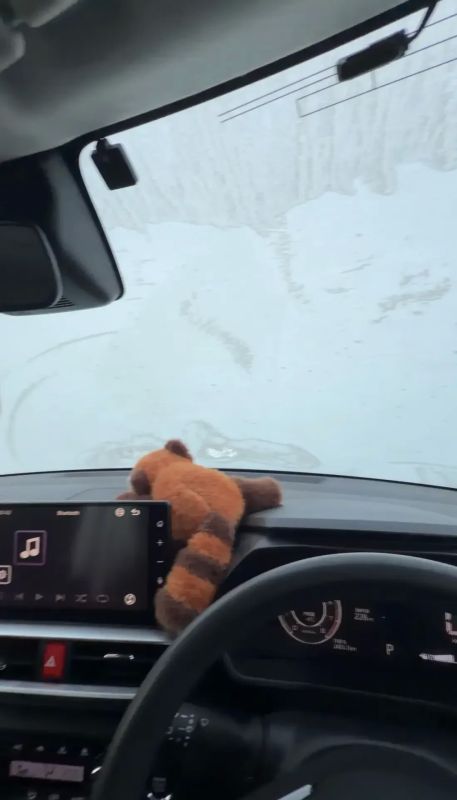 Утро, которое началось с ледяного сюрприза Утро, которое началось с ледяного сюрприза