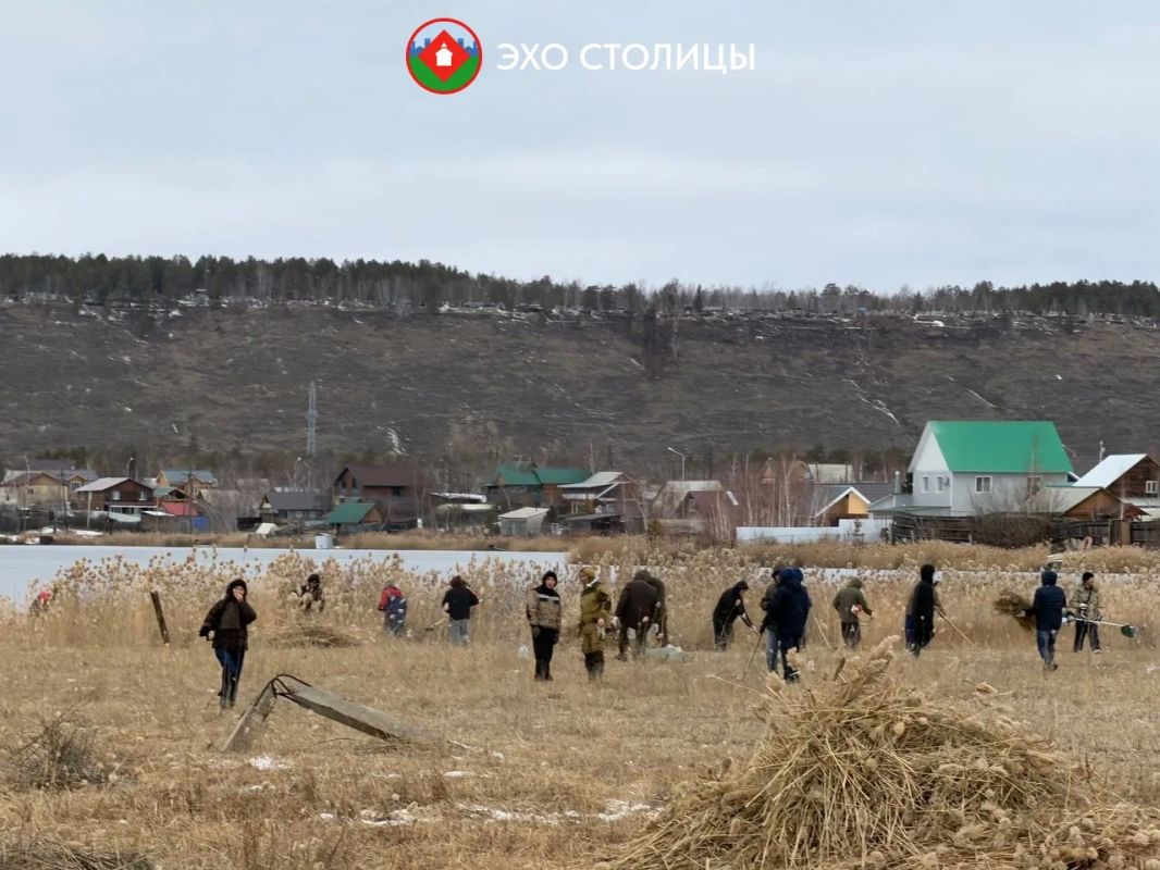 В Якутске проходит субботник по расчистке городских озёр от камыша и сухостоя