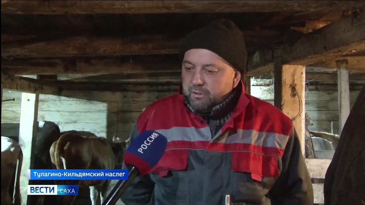 В регионе началась зимовка скота