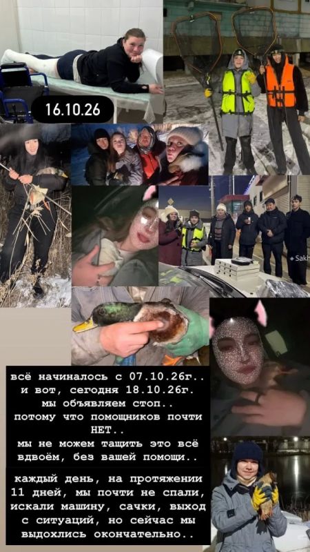 Крик души волонтера Эвелины: