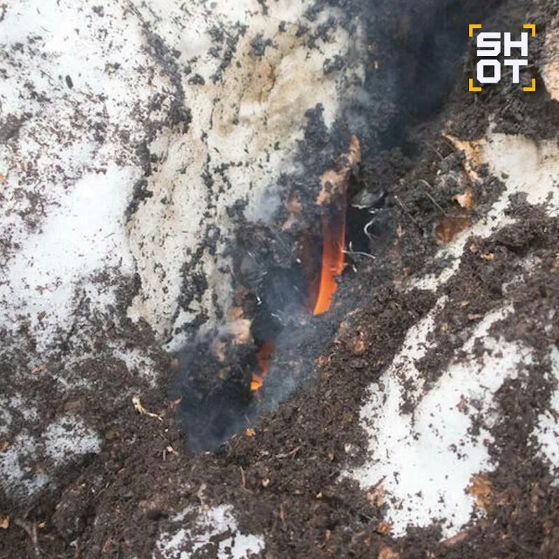 «Зомбипожары» могут накрыть Россию весной изза аномально тёплой зимы «Зомбипожары» могут накрыть Россию весной изза аномально тёплой зимы