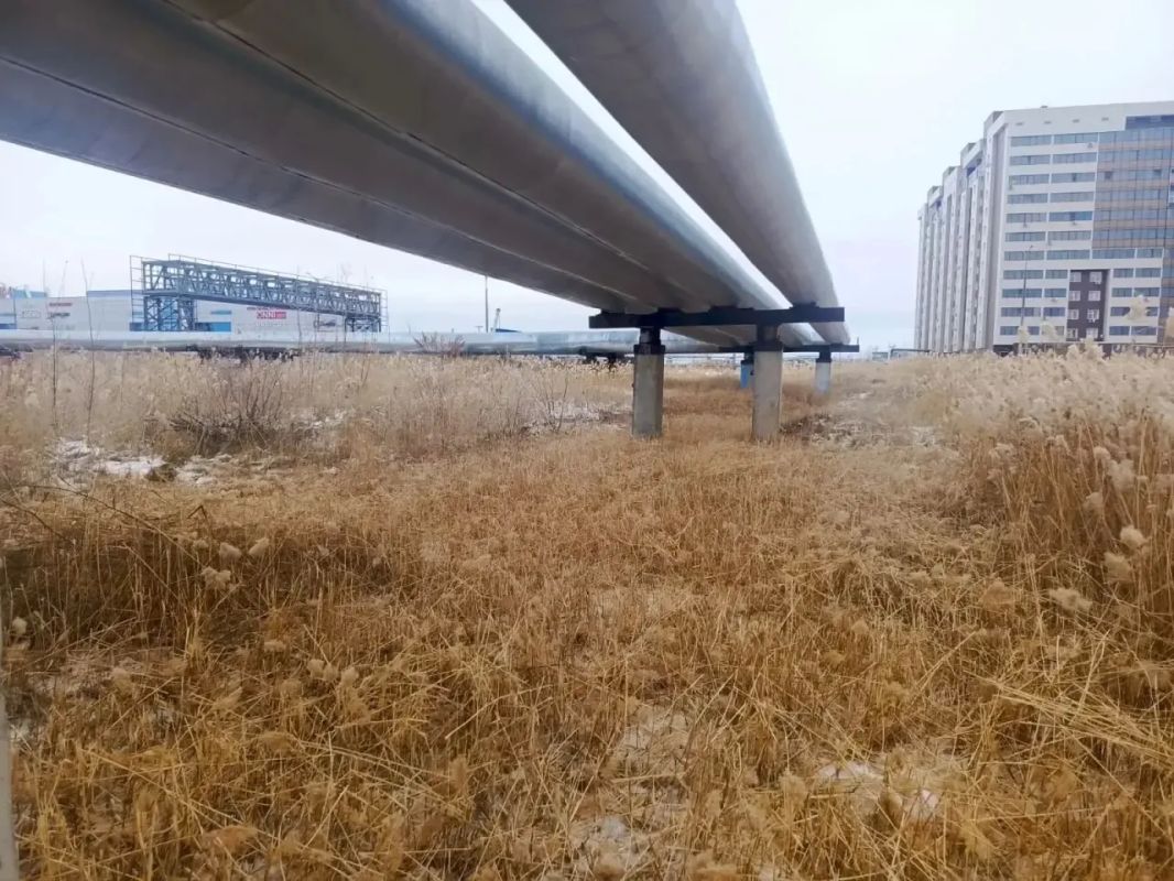 В Гагаринском округе продолжается скос В Гагаринском округе продолжается скос