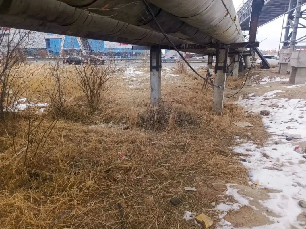 В Гагаринском округе продолжается скос В Гагаринском округе продолжается скос
