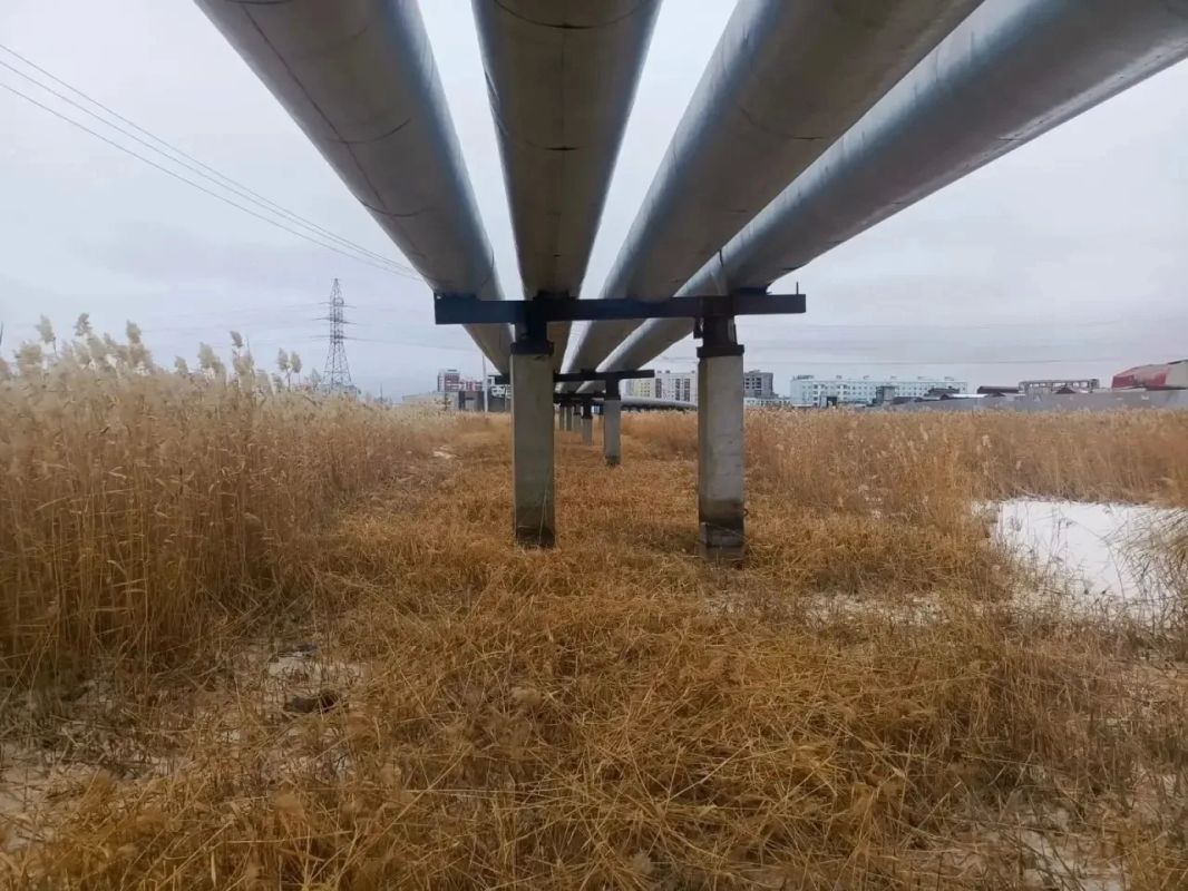 В Гагаринском округе продолжается скос В Гагаринском округе продолжается скос