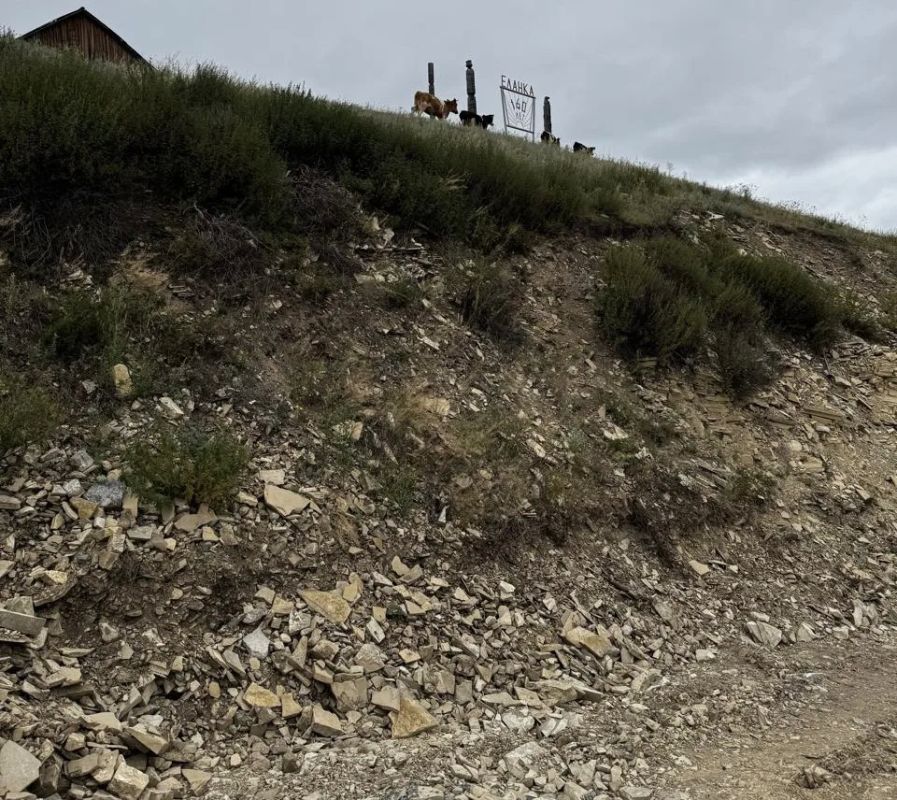 По иску прокурора с предпринимателя взыскан ущерб в размере 1,5 млн руб По иску прокурора с предпринимателя взыскан ущерб в размере 1,5 млн руб