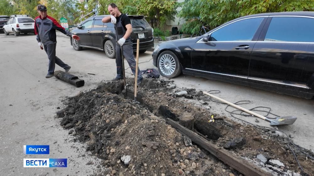 В Якутске подвели итоги городской акции "Город без пней"