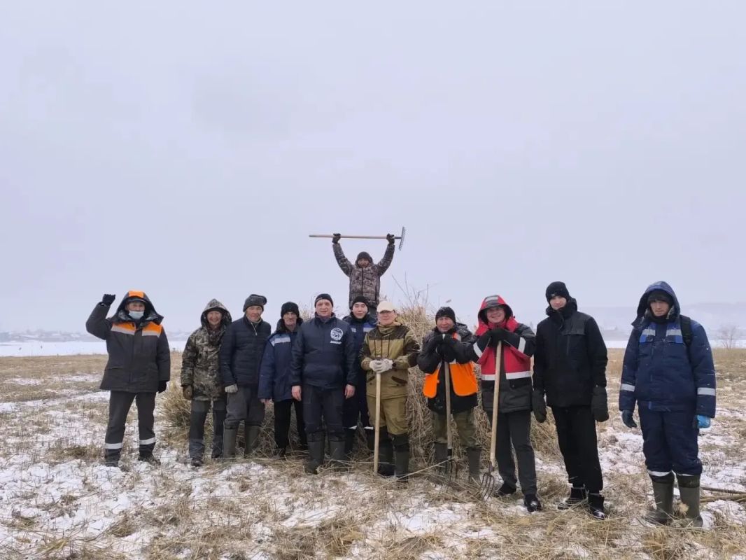 На Белом озере начат вывоз скошенного камыша! На Белом озере начат вывоз скошенного камыша!