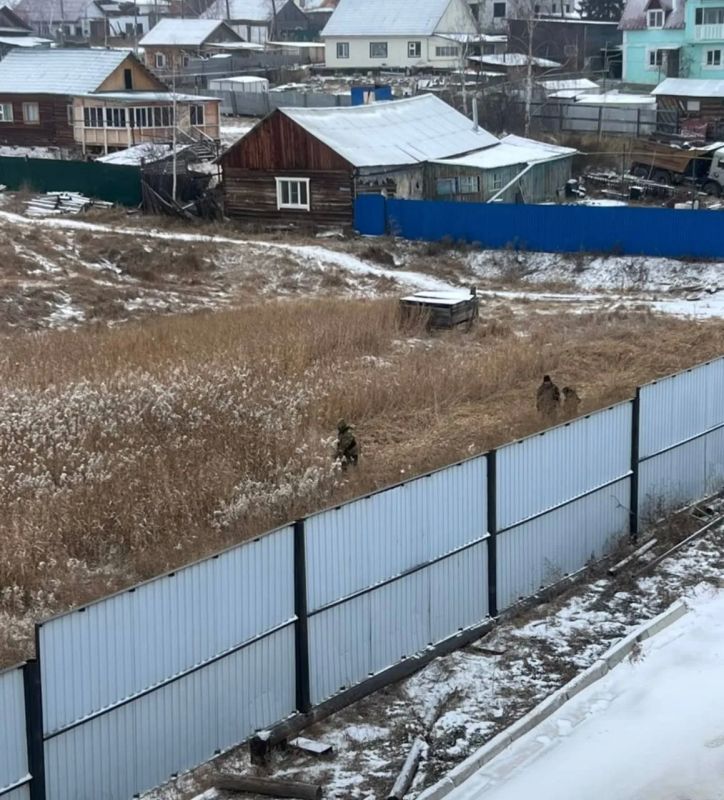 Покровск решил повторить за Якутском, там идет активный скос камышей Покровск решил повторить за Якутском, там идет активный скос камышей