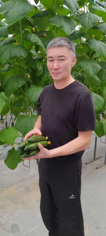 Нмгтээи тэпилииссээ оурсу нэ турар Нмгтээи тэпилииссээ оурсу нэ турар