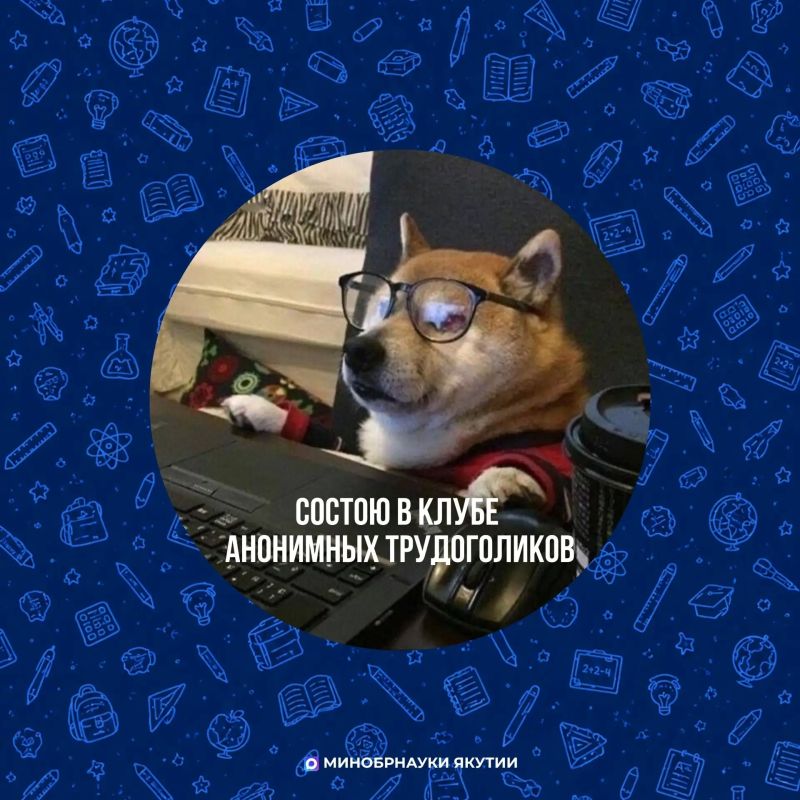 У кого каникулы, а у кого - подготовка ко второй четверти У кого каникулы, а у кого - подготовка ко второй четверти
