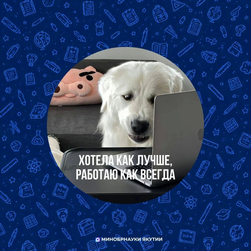 У кого каникулы, а у кого - подготовка ко второй четверти У кого каникулы, а у кого - подготовка ко второй четверти