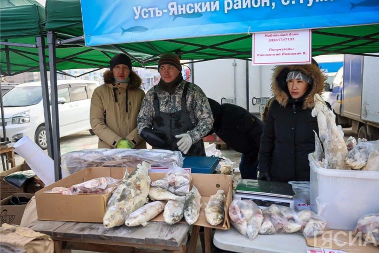Рыба по доступным ценам: в Якутске на три дня откроется традиционная выставка-ярмарка