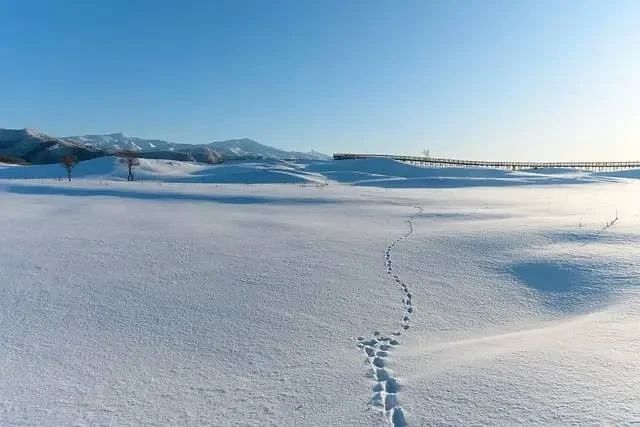 В Россию уже пришли 30-градусные морозы: