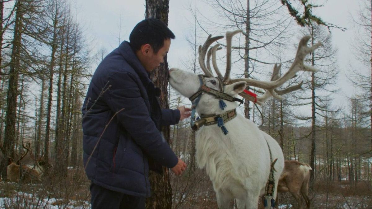 Якутские докфильмы в Музее кино в Москве Якутские докфильмы в Музее кино в Москве
