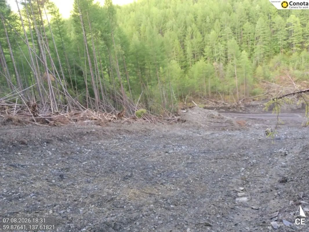 В Усть-Майском районе пресечена незаконная рубка леса В Усть-Майском районе пресечена незаконная рубка леса