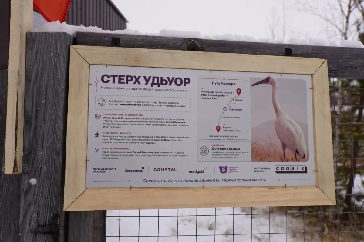 #Пушистыеновости: Стершонок Удьуор переезжает в новый дом #Пушистыеновости: Стершонок Удьуор переезжает в новый дом