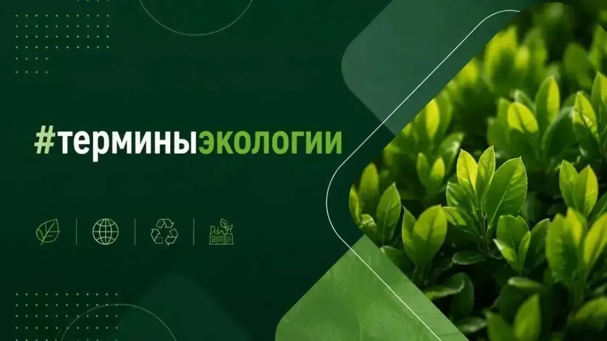 #терминыэкологии. Антибиоз — это взаимодействие, при котором один организм мешает другому жить или размножаться