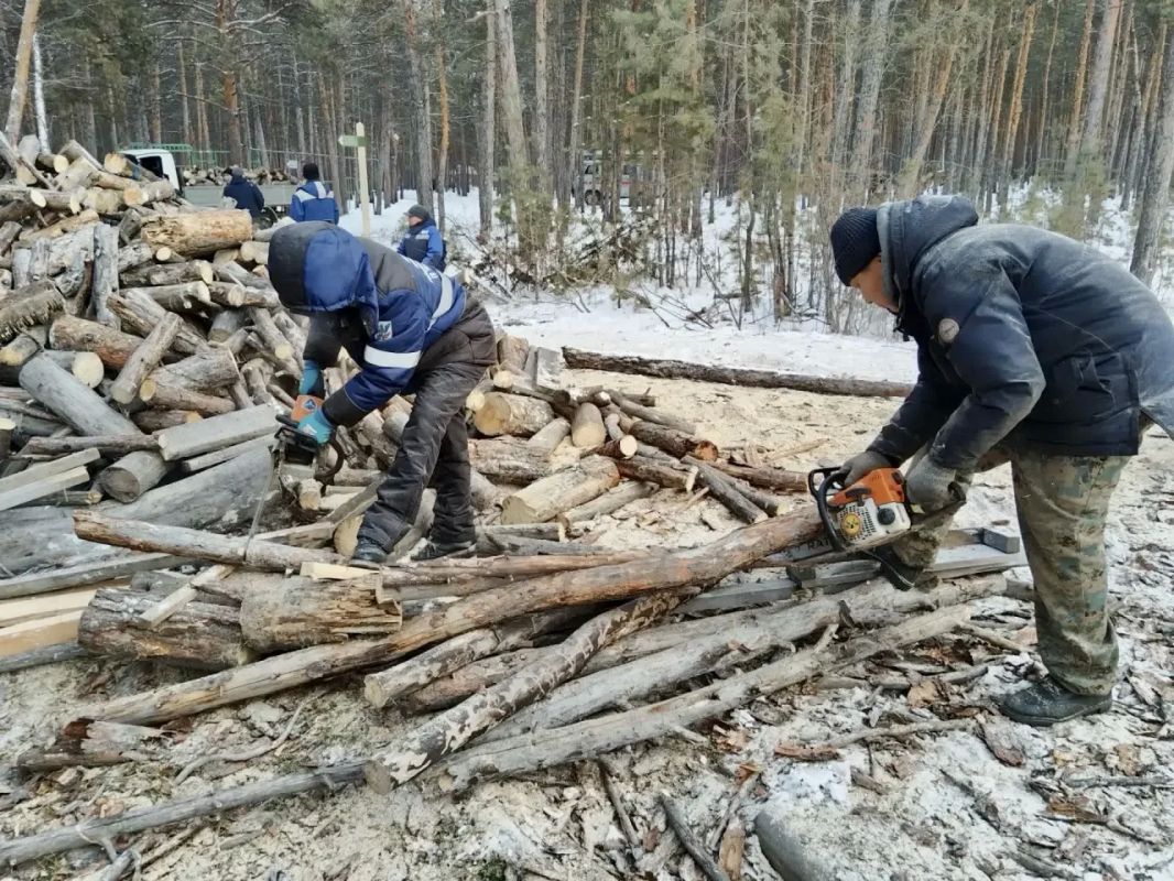 Заготовка дров для семей участников СВО Заготовка дров для семей участников СВО