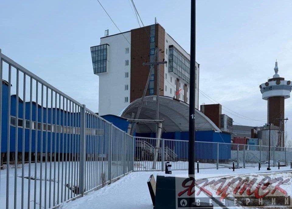 Жительница Якутска встретила полярную сову на берегу Сайсары Жительница Якутска встретила полярную сову на берегу Сайсары