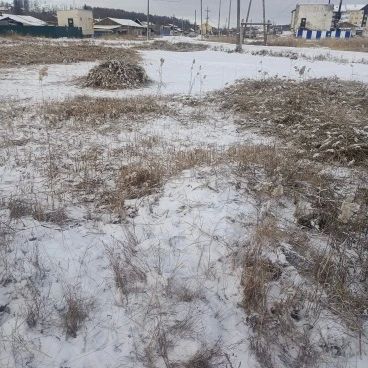 В Покровске скашивают камыши у водоемов В Покровске скашивают камыши у водоемов