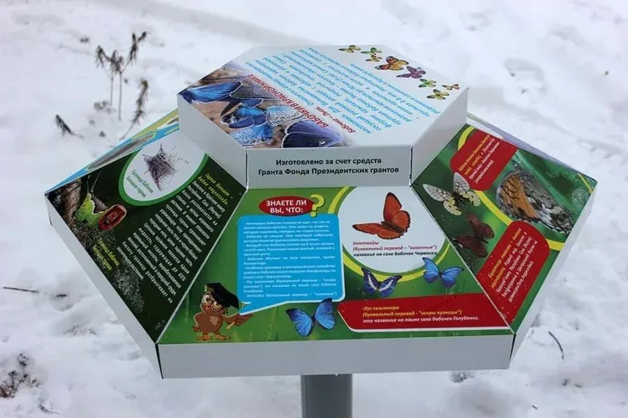 #ЗеленыйЧетверг: оазис в сосновом краю #ЗеленыйЧетверг: оазис в сосновом краю