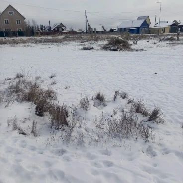 В Покровске скашивают камыши у водоемов В Покровске скашивают камыши у водоемов