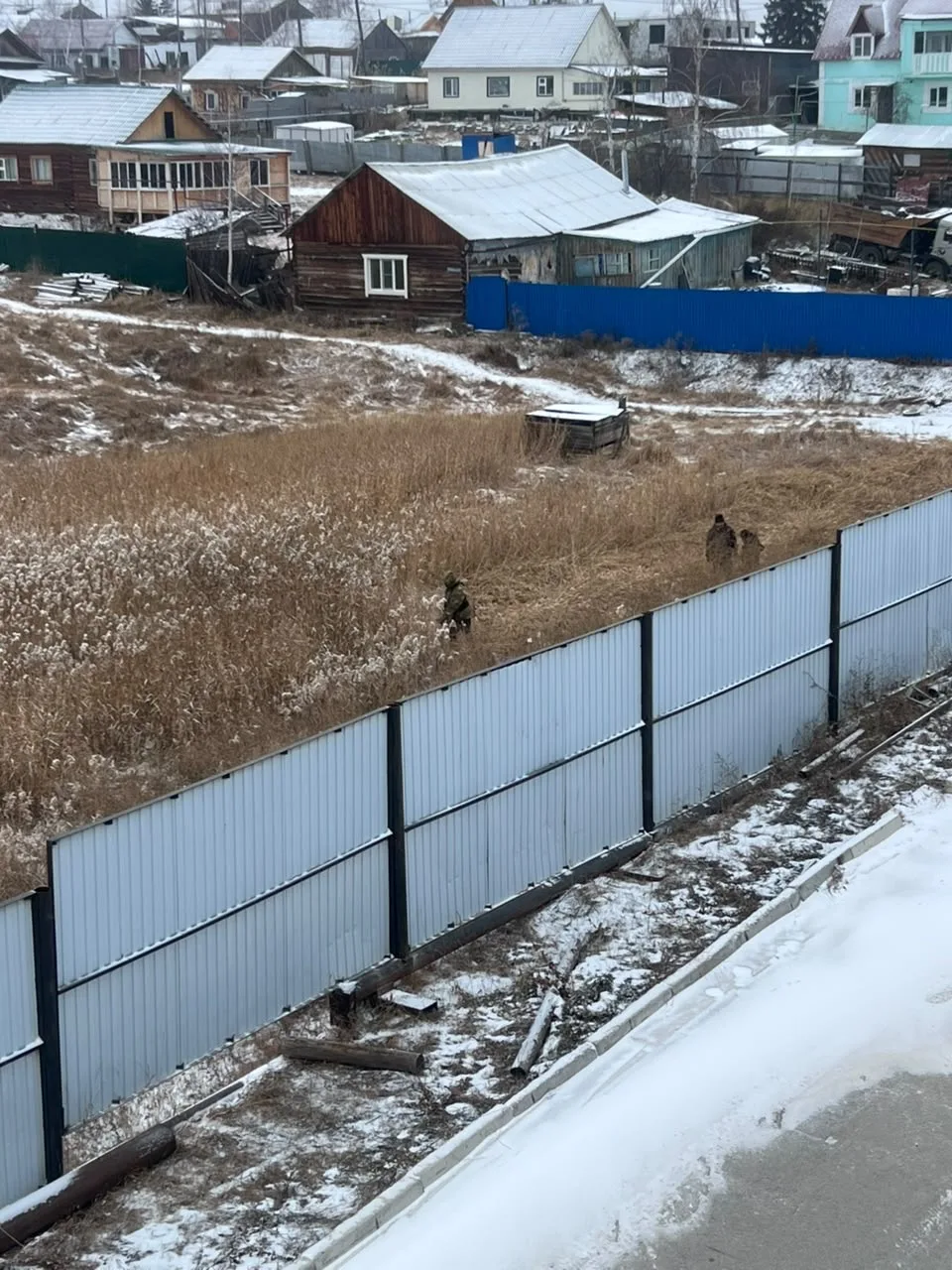 В Покровске скашивают камыши у водоемов