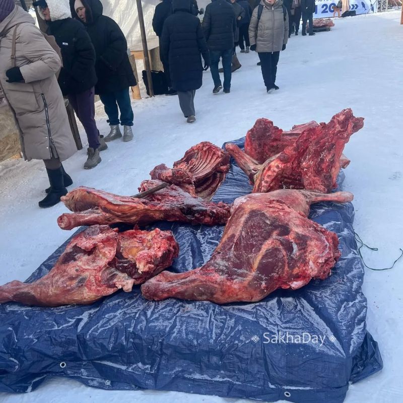 На рыбной ярмарке традиционно представлено и мясо свежего забоя, примерная цена за кило — тысяча рублей, в зависимости от части (доходит до 1,6 тысячи) На рыбной ярмарке традиционно представлено и мясо свежего забоя, примерная цена за кило — тысяча рублей, в зависимости от части (доходит до 1,6 тысячи)