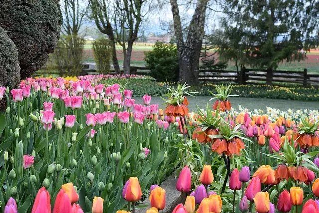 �������� ����������� ������������ ����