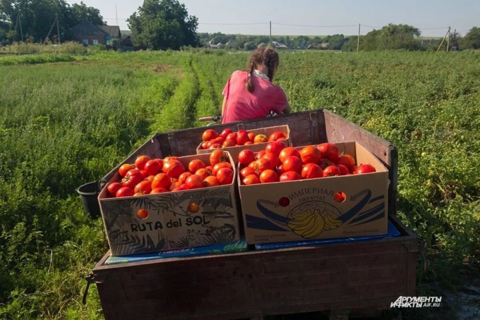 ������� ��������� �������� �������