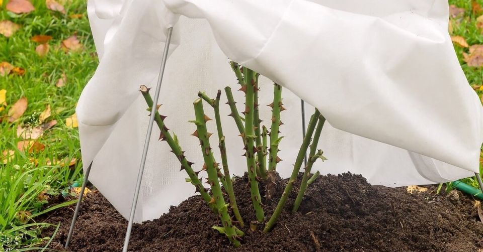 ��� ��������� ����� �������� ������ ������ ���� ������