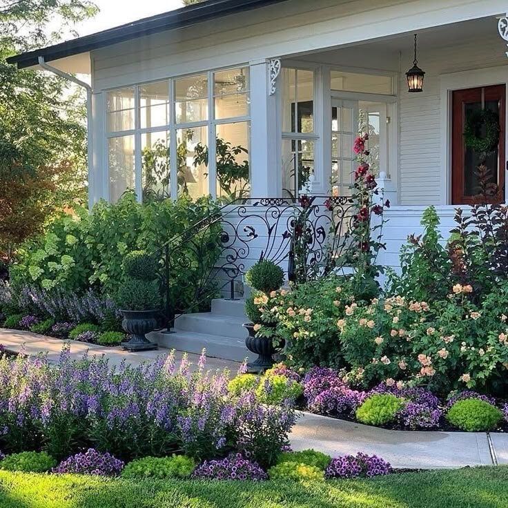 Растения для вашего дома: как сделать двор красивым и безопасным