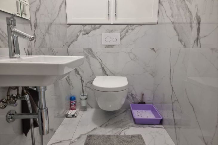 Как избавиться от конденсата на бачке унитаза: хватит 10 минут и без вызова сантехника