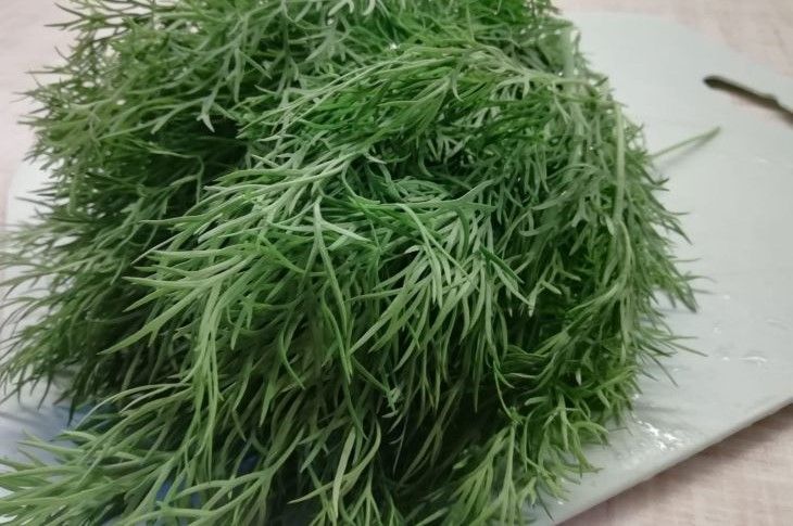 Как хранить зелень в холодильнике: останется свежей и хрустящей надолго