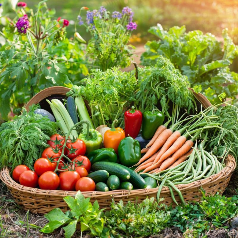 Как подготовить огород к зиме: секреты осенней подкормки для мощного урожая