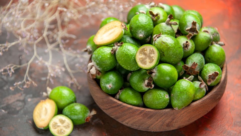 � ������� ������ ������ �� ������������: ���������� ������� �����