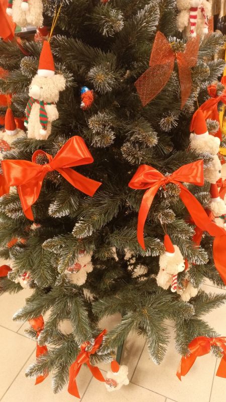 ������ �� ����� ��� ���������: ��� ������� �� ������ ���� � � �������������