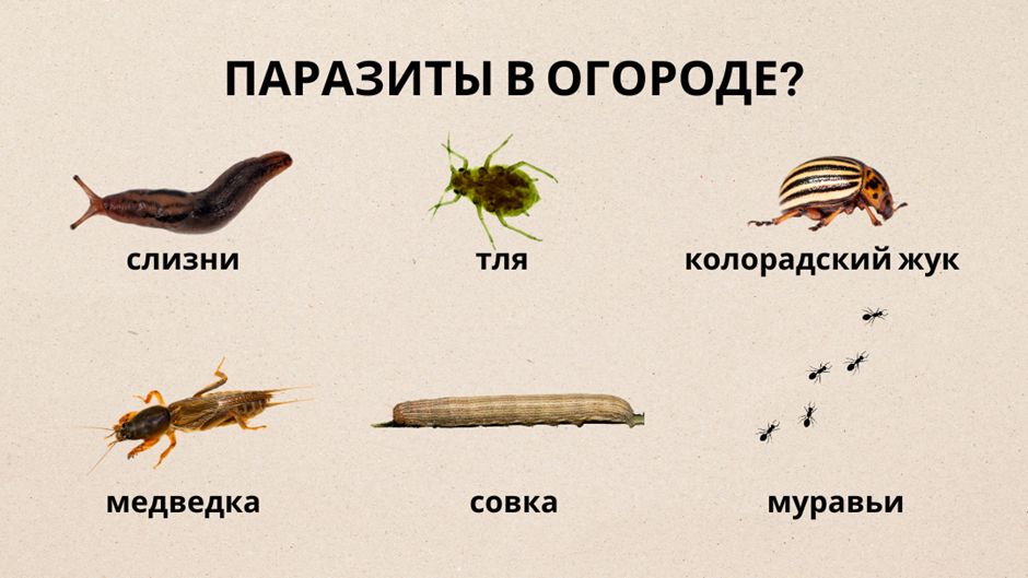 ����������� ������ ������ � ����������� � ������� ��� ������� ������