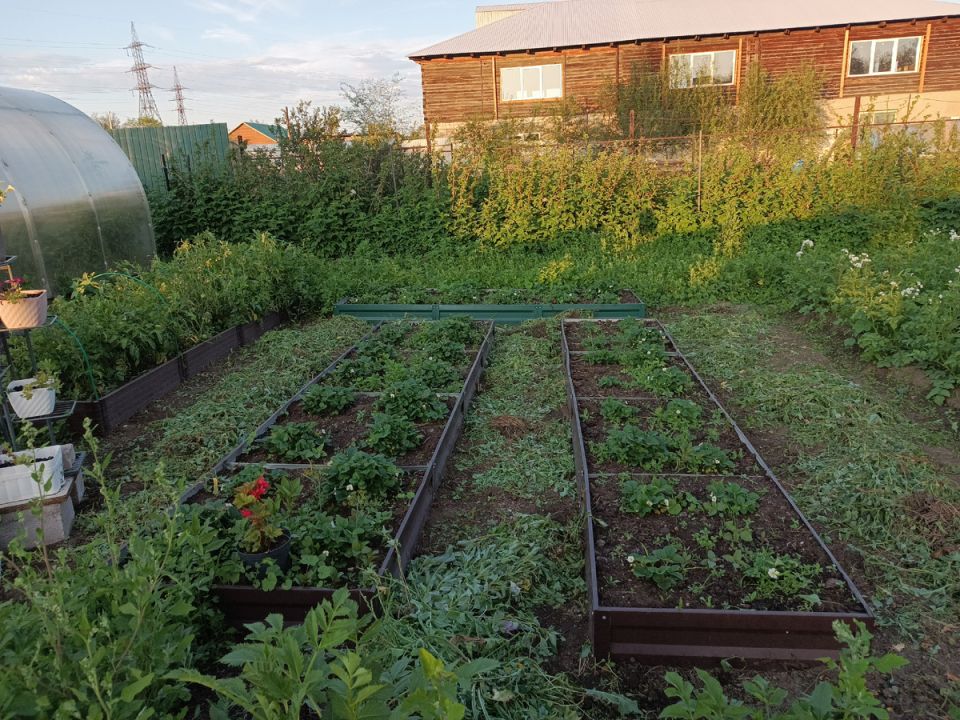 ������ �� �����: ��� �������� ������� ����� ��������� ���������� ��������