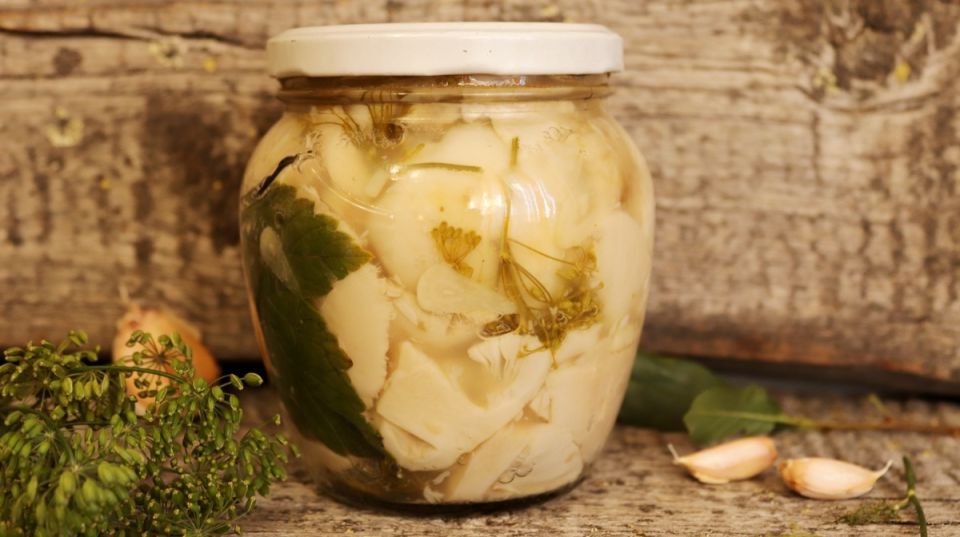 Искусство засолки сыроежек: как сделать грибы вкуснее и красивее